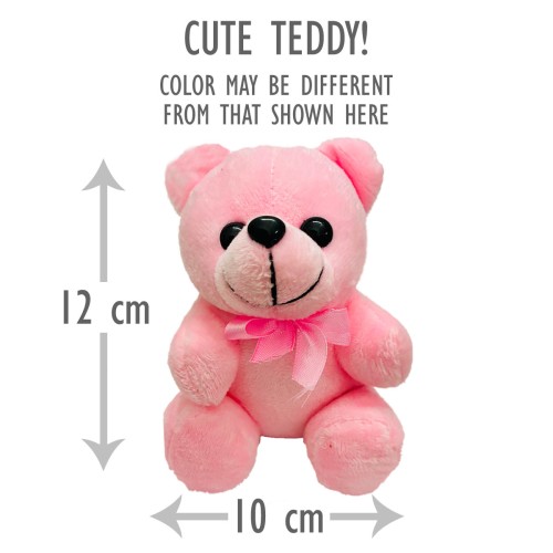 Rakhi Sister Sipper Teddy Choco Combo Rakhi Sister Sipper Teddy Choco Combo