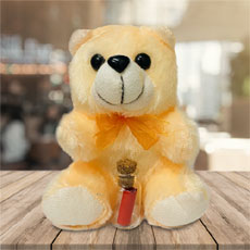 Womens Day Teddy With Message In A Bottle